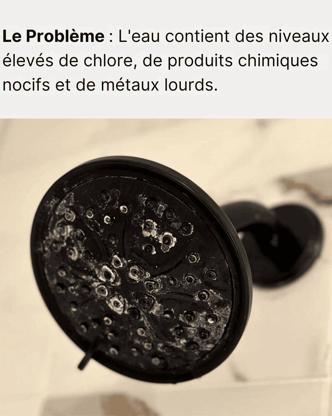 Pommeau de Douche Filtrant
