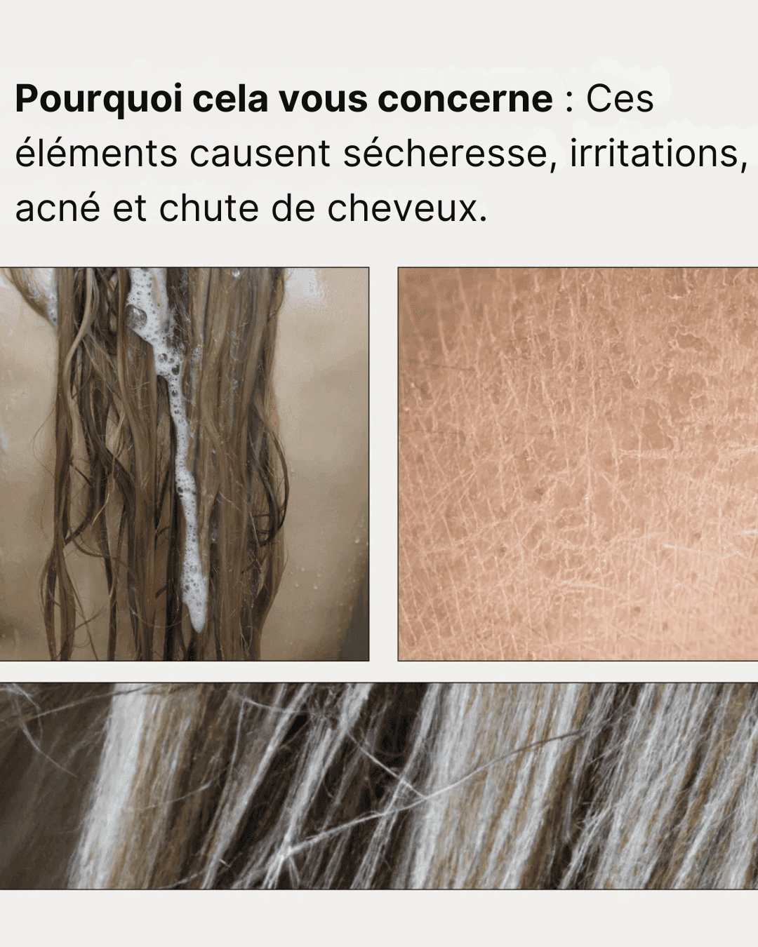 Pommeau de Douche Filtrant