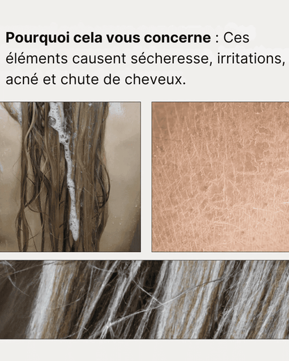 Pommeau de Douche Filtrant